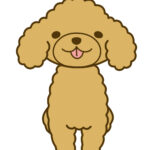 犬の無駄吠えやめさせる方法 試行錯誤した結果これが1番効果があった