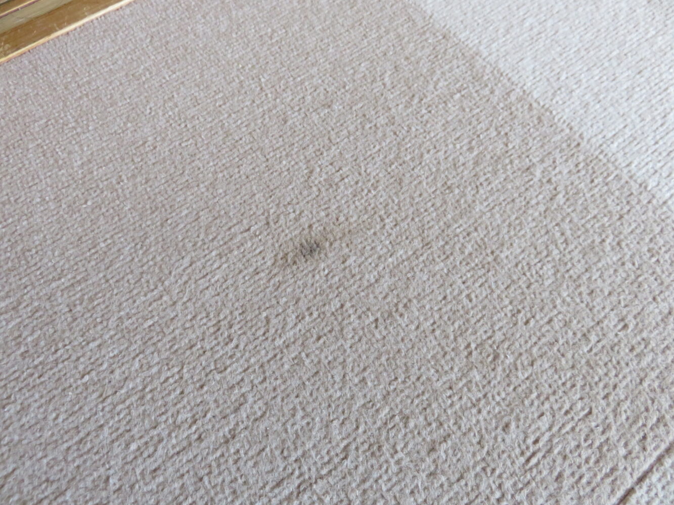 白髪染めの液を落としてできたシミ