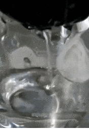 綺麗になった
