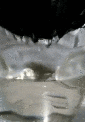 まだ汚れている