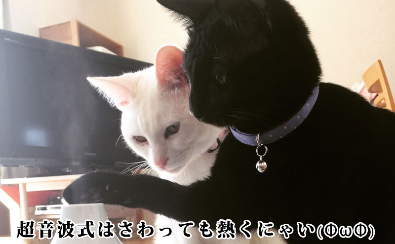 超音波式加湿器は触っても熱くない