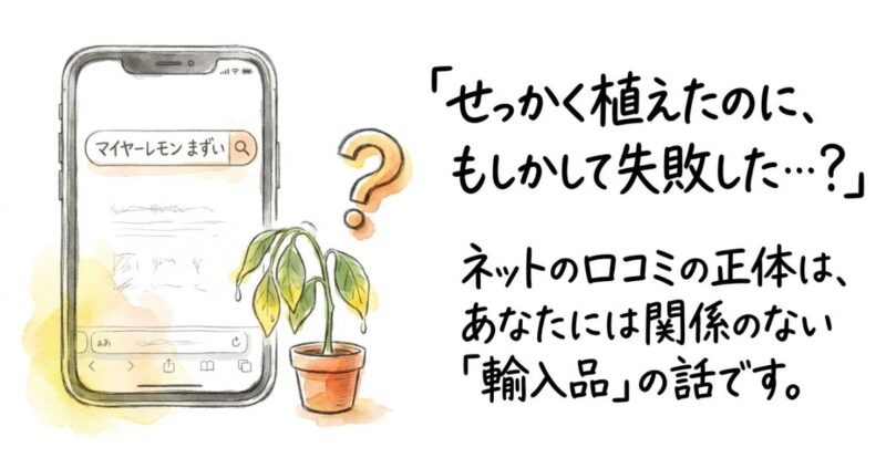 ネットの噂の真相!マイヤーレモンが「まずい」と誤解される3つの理由