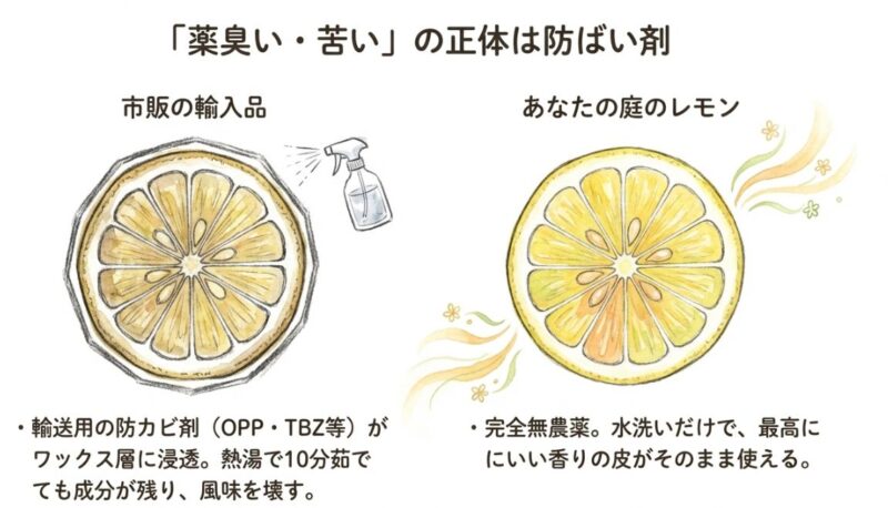 2. 市販品特有の「薬臭い」正体は防ばい剤だった