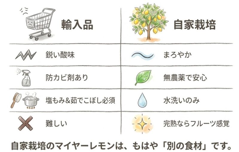 無農薬なら「皮」まで安心!香り豊かな最高の食材に