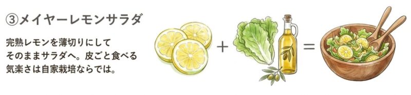 料理のアクセントに!メイヤーレモンサラダ